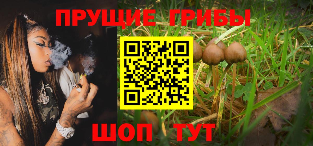 Псилоцибиновые грибы Magic Shrooms Соликамск