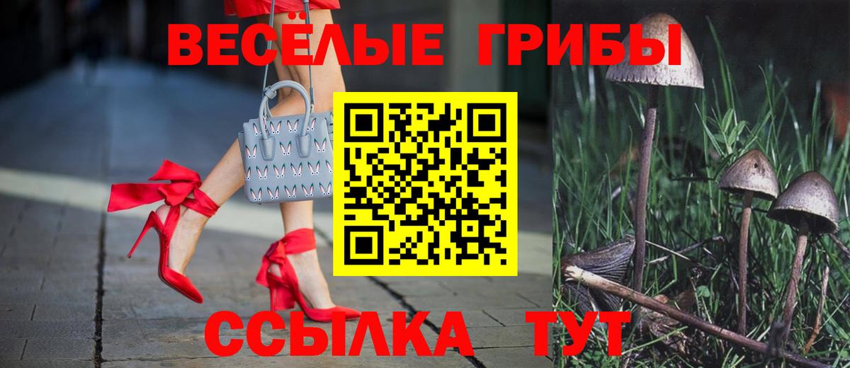 Галлюциногенные грибы MAGIC MUSHROOMS  Вход с VPN  Псилоцибиновые грибы GOLDEN TEACHER  Соликамск 